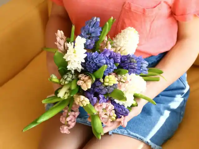 Hyacinths (Hyacinthus Orientalis)