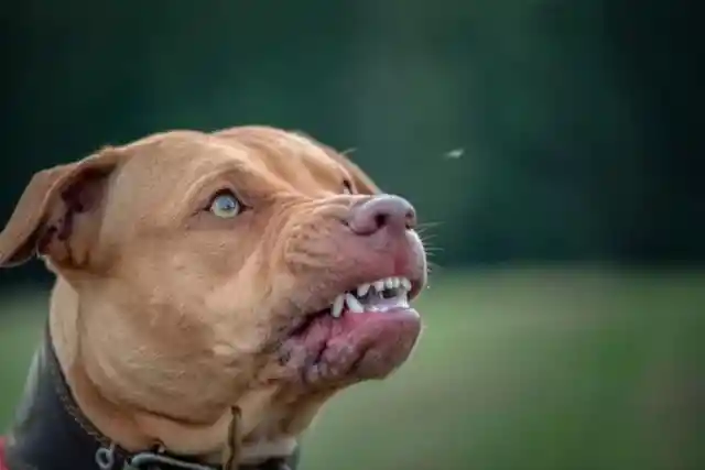 The Tables Turned