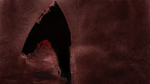 In The Furthest Room