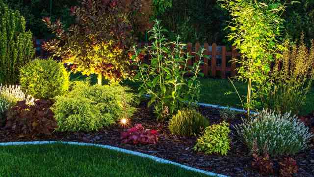 Suche Im Garten