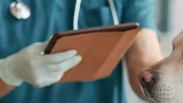Making Him Pay