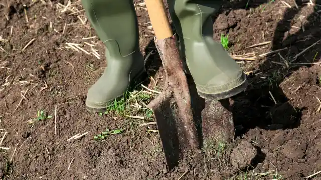 Afrontarlo Aquí Y Ahora