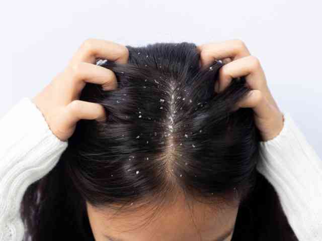 Absorb Grease with Ease