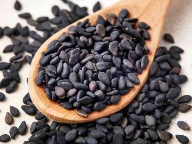 Historical Significance