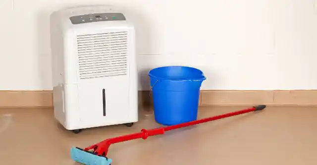 Dehumidifiers: Cooling Summer, Rising Costs