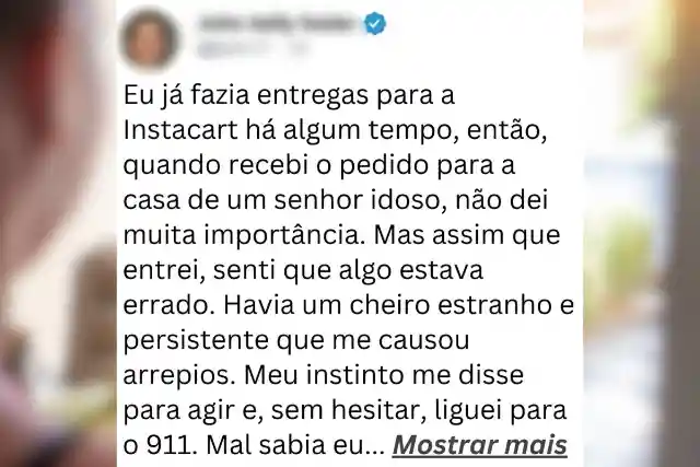 Navegando Pelas Entregas
