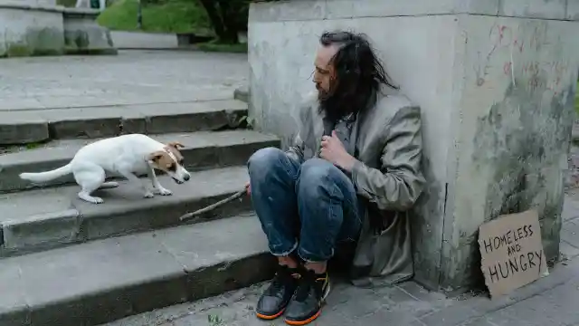 La Vida En La Calle