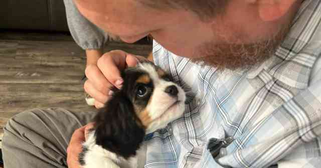 A Lasting Bond