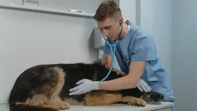 Careful Examination