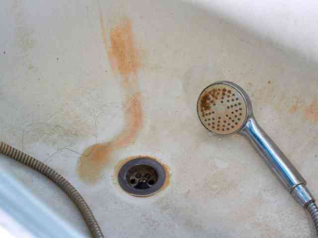 Rotten Eggs Are Not Allowed Here