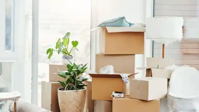 Vecinos