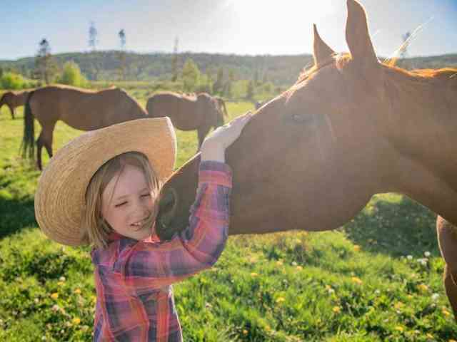 Mohonk Mountain House