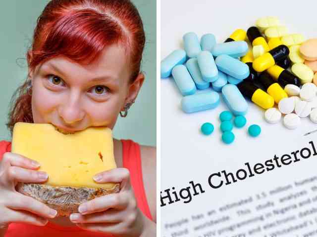 Understanding Cholesterol And Its Sources