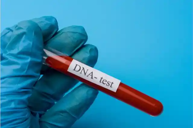 The Tests Results
