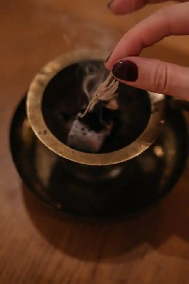 Follow That Smell