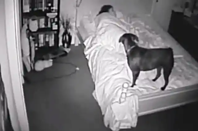 Every Night