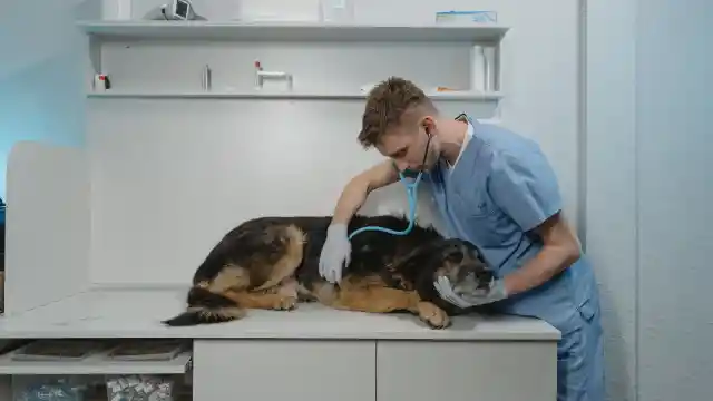 Tão Nervosa