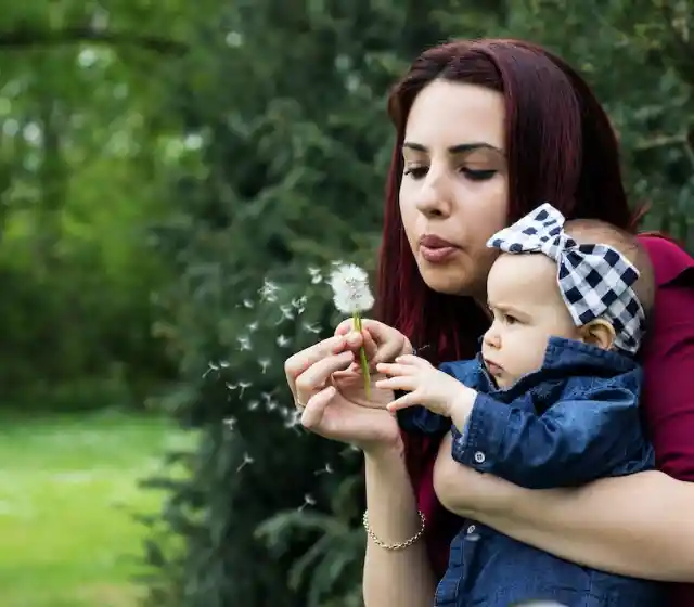Contando Para Lily