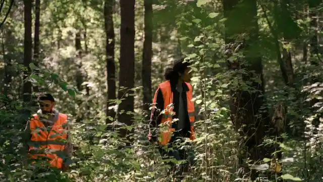 Going Back To The Search Party
