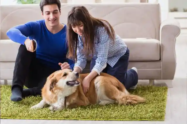 El Heroísmo Invisible De Bailey