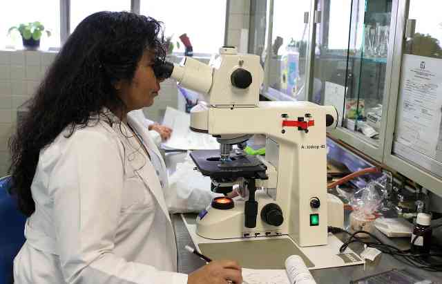 Pruebas De Adn