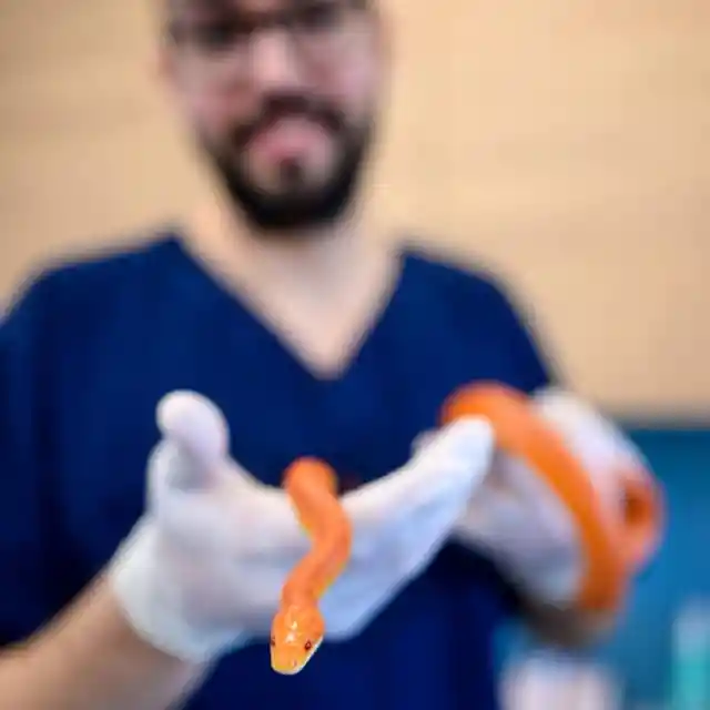 A Slow Recovery
