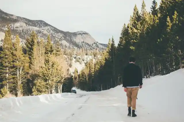 Wolves