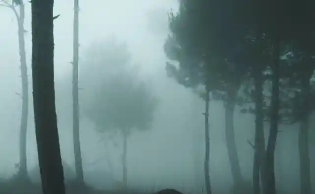 The Clearing 