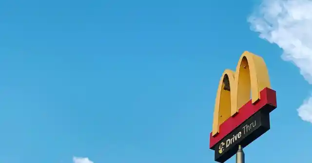 The Job Market 