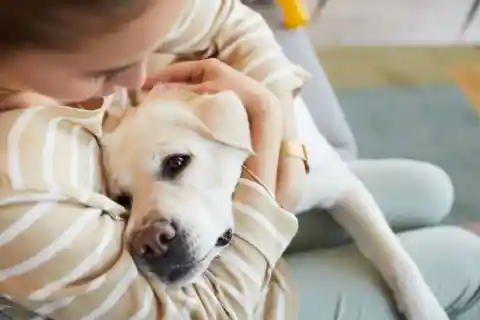 Desesperado