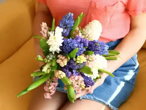 Hyacinths (Hyacinthus Orientalis)