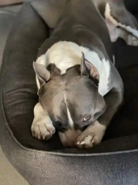 Juntos A Dormir