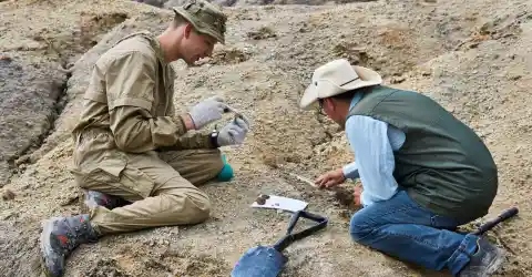 Preservation and Documentation