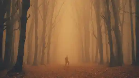 Die Quelle Des Geräuschs