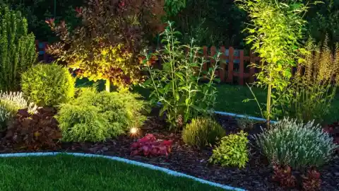 Searching The Yard