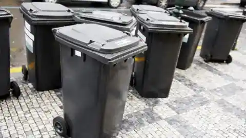 Aún No La Habían Recogido