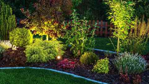 Suche Im Garten