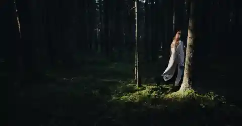 Who Planted It?