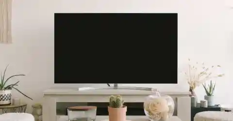TV: The Phantom Load Monster