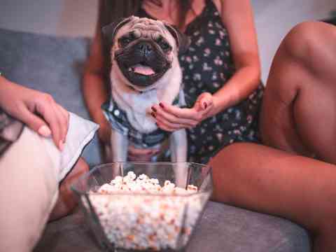 Nutritional Benefits