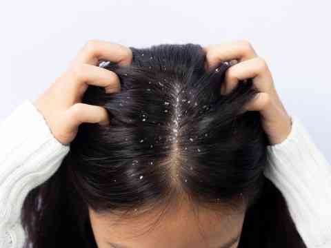 Absorb Grease with Ease