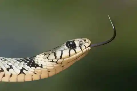 Stuck Inside