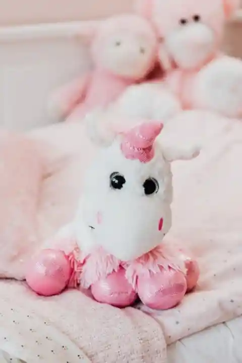 Princesas, pôneis e rosa