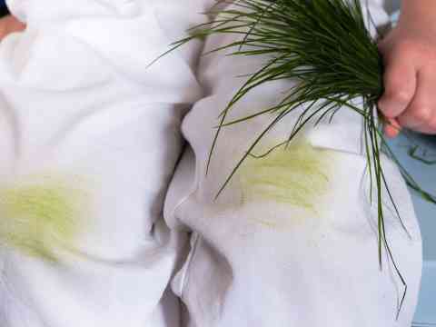 Make Your Hands Smell Like A Million Bucks