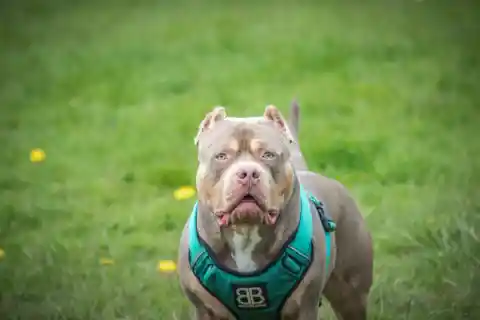 Stay Back