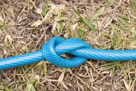 The First Incident