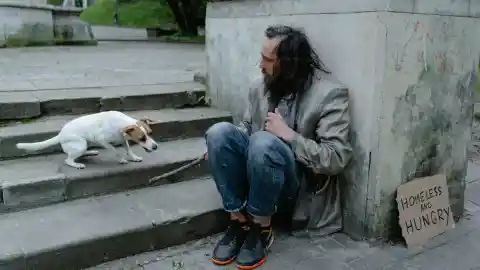 La Vida En La Calle