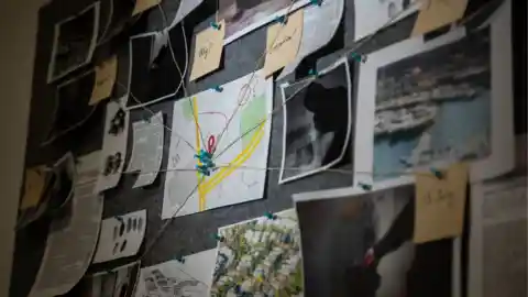 Their Process