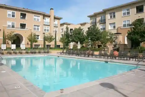 The Pool