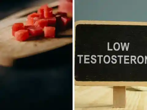 Oysters